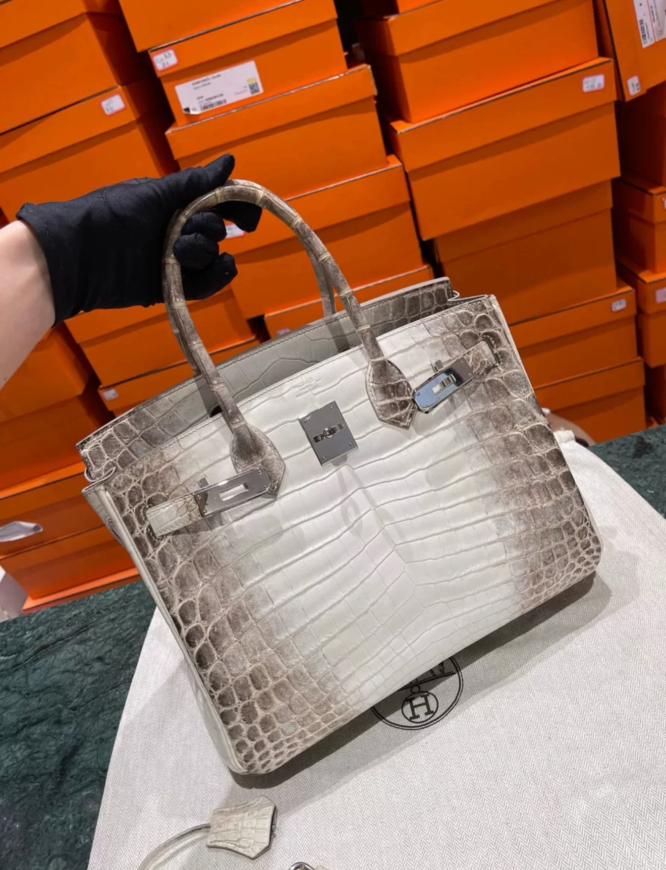 HN 30 Himalaya Albino Genuine Crocodile Leather