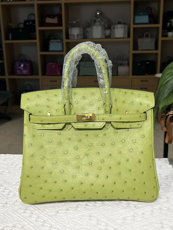 Hermes Birkin 25cm Ostrich Leather Gold Hardware