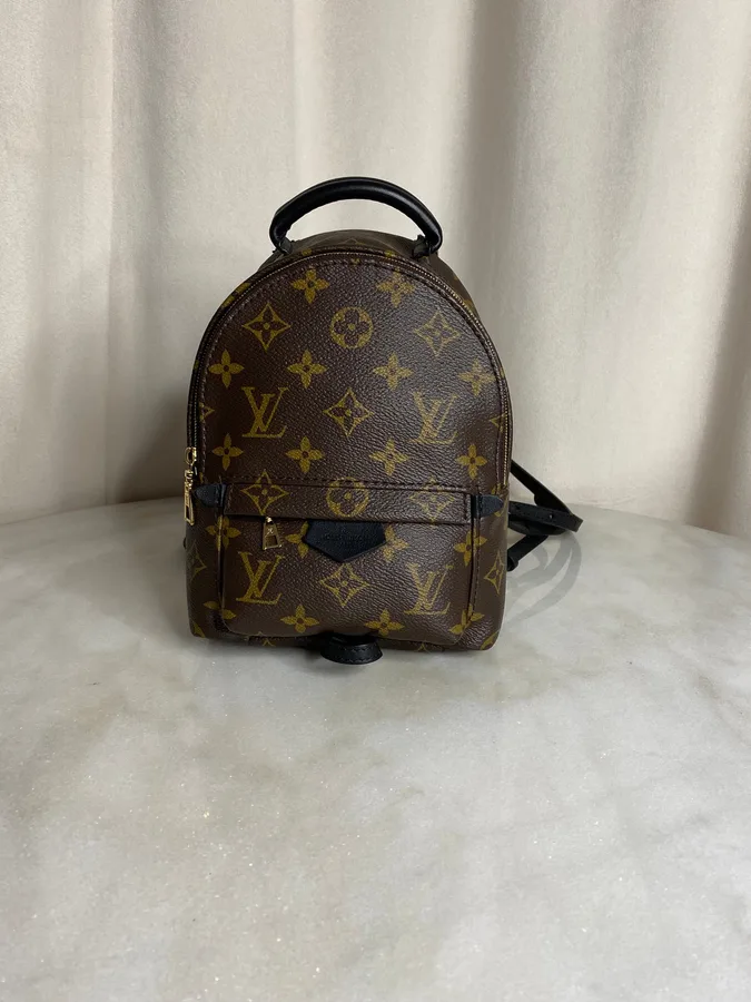 Louis Vuitton Palm Springs Mini backpack in monogram canvas
