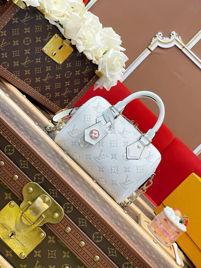 Louis Vuitton Speedy Bandoulière 20 handbag