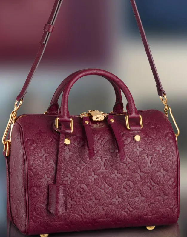 LV Speedy Burgundy