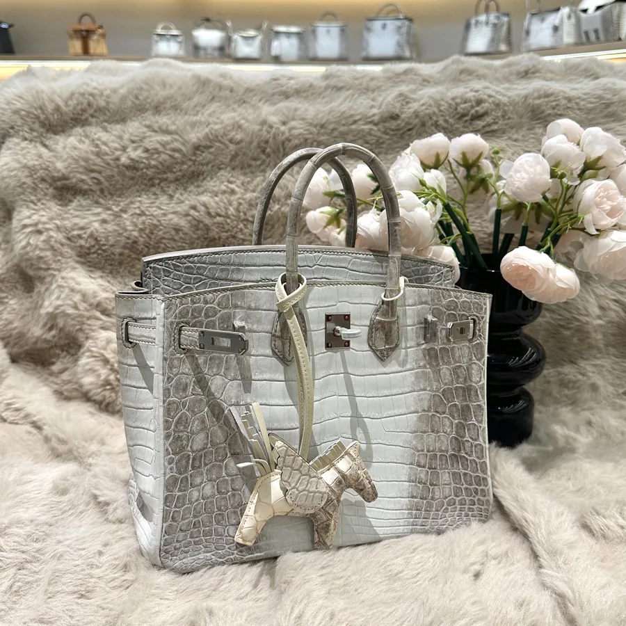 Hermes Birkin 25cm Himalaya Crocodile Leather Silver Hardware