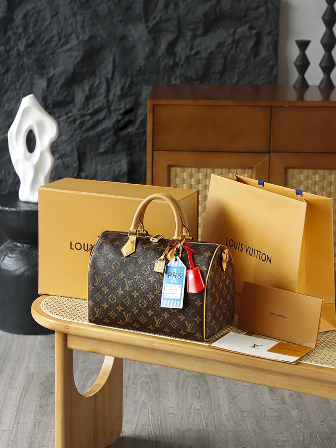 LV Speedy 30 Crafty