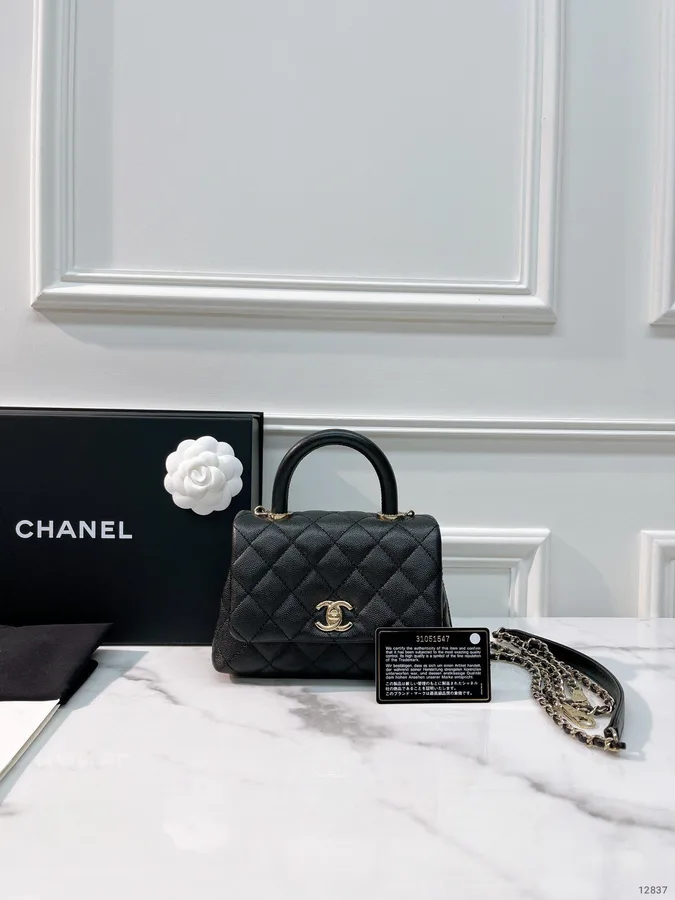 Chanel Mini Coco Handle