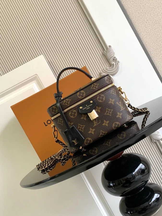 Louis Vuitton Vanity Chain Pouch