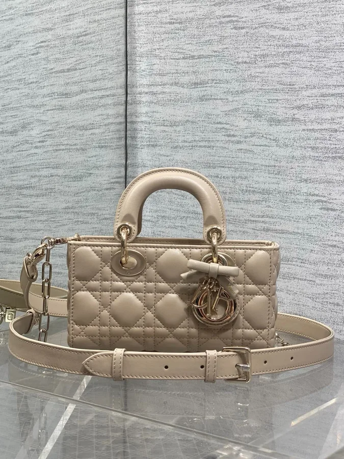 Dior D-joy Small Beige