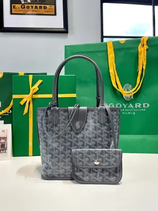 Goyard Anjou Mini in Gray — Goyard Handbags sample