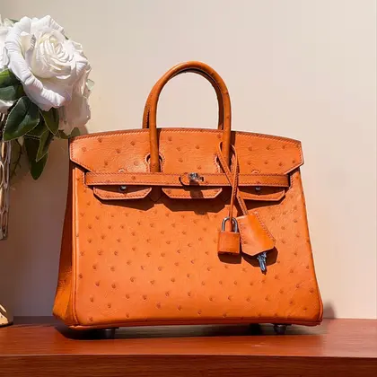 HN 25 Bag in Fire Orange Ostrich Leather with Silver Hardware — Hermès Handbags sample