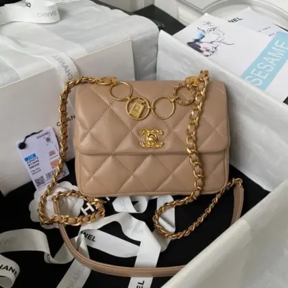 Chanel Woc Brown Handbags Pearl Handle Plated 11.5×14.5x5cm — Chanel Handbags sample