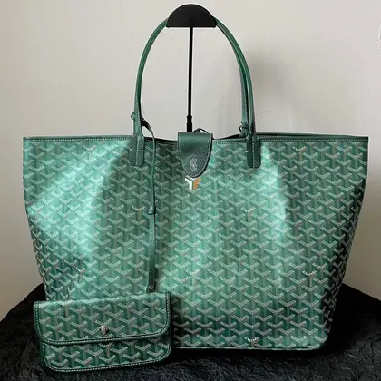 Goyard Saint Louis PM Bag 2024 Limited Edition — Goyard Handbags sample