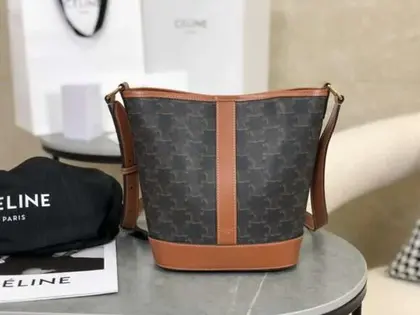 Celine Triomphe Replica Women’s Handbag With Logo Printed 30x22x12cm — Celine Handbags sample