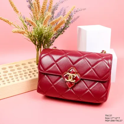 Chanel Woman’s Red High Best Quality Handbag Lock With Stone 17x12x7cm — Chanel Handbags sample