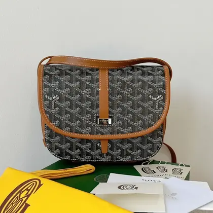 Goyard Super Premium Women’s Handbag Orange Leather Pattern 22x16x7cm — Goyard Handbags sample