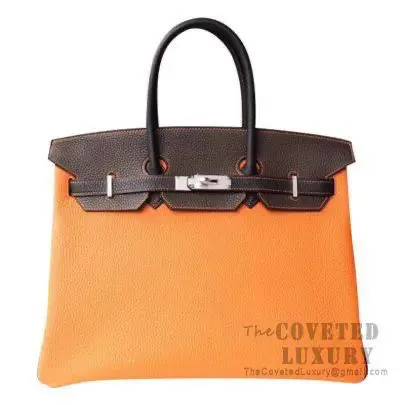 HN 35 Bag CK93 Orange and 89 Noir and 4a Cafe Togo — Hermès Handbags sample