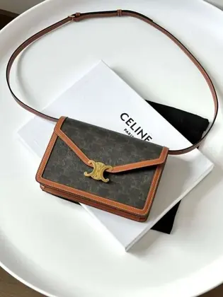 Celine Woc Triomphe Super Quality Gold Plated Handbag 22x15cm — Celine Handbags sample