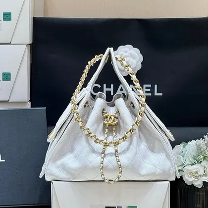 Chanel 25 Handbag in White 30 Gold Hardware — Chanel Handbags sample