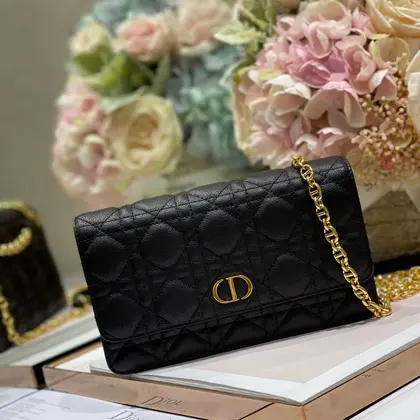 Dior Woc Women’s Black Handbag with Gold Lock 20×11.5×3.5cm — Dior Handbags sample
