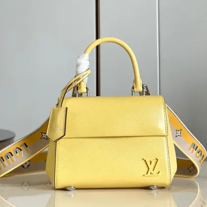 Louis Vuitton Clunny Yellow Raised Pattern 20x16cm — Louis Vuitton Handbags sample