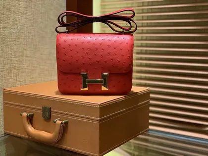 HN Rouge Vif Ostrich Constance Mini 18 gold hardware — Hermès Handbags sample