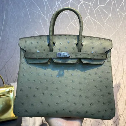 HN 30cm Khaki Ostrich Leather Silver Hardware — Hermès Handbags sample