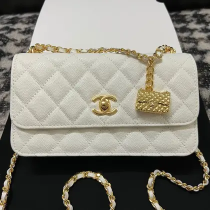Chanel Woc Charm Handbags White Lizard Skin With Lock Pattern Bag 20cm — Chanel Handbags sample