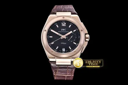 IWC0356F – Ingenieur trustytime.watch — IWC Watches sample