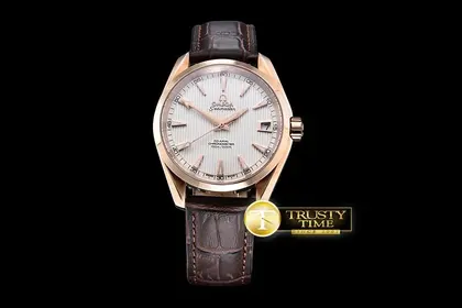 OMG0464I – Aqua Terra 38mm — Omega Watches sample